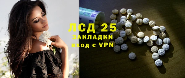 ПСИЛОЦИБИНОВЫЕ ГРИБЫ Елабуга
