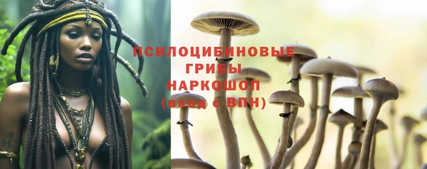 ГАЛЛЮЦИНОГЕННЫЕ ГРИБЫ Елизово
