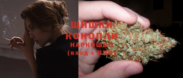 эйфоретик Ельня