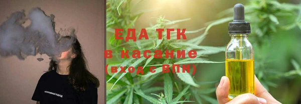 эйфоретик Ельня