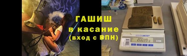 эйфоретик Ельня