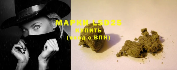 ПСИЛОЦИБИНОВЫЕ ГРИБЫ Елабуга