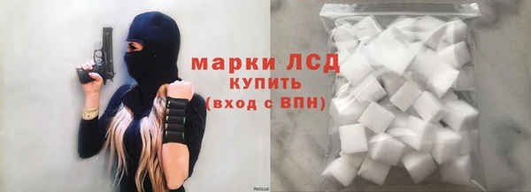 ПСИЛОЦИБИНОВЫЕ ГРИБЫ Елабуга