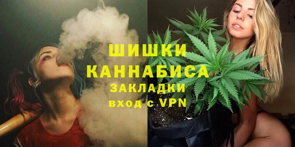 эйфоретик Ельня