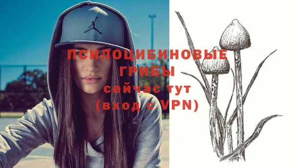 ГАЛЛЮЦИНОГЕННЫЕ ГРИБЫ Елизово