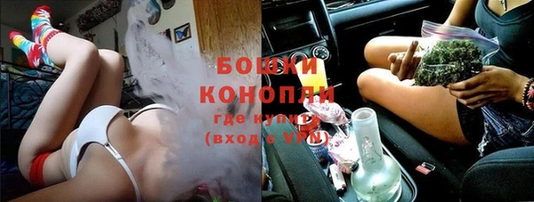 эйфоретик Ельня