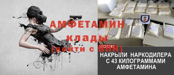ПСИЛОЦИБИНОВЫЕ ГРИБЫ Елабуга