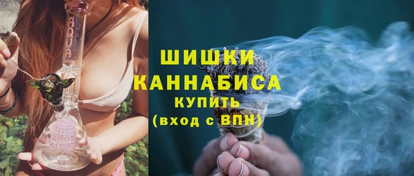 ПСИЛОЦИБИНОВЫЕ ГРИБЫ Елабуга